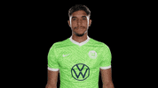 Football Reaction GIF by VfL Wolfsburg