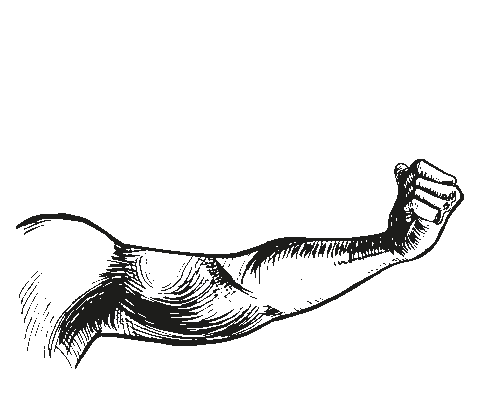 Draw Biceps Sticker by Active Square