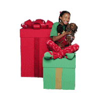 Christmas Holiday Sticker by Five Below