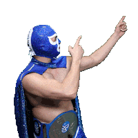 maskadorestacoshopaz wrestling wrestler lucha libre lucha Sticker