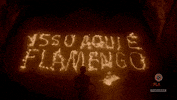 flamengo st nrn nacaocrf stfla GIF