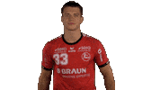 Handball-Bundesliga Handball Sticker by LIQUI MOLY HBL