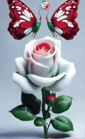 Amigos Familia GIF by Murcianys LLC