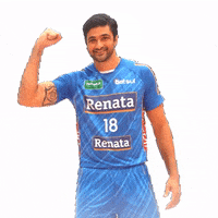 VoleiRenata volei torcida voleirenata GIF