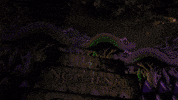 insomniacevents  GIF