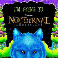 insomniacevents  GIF