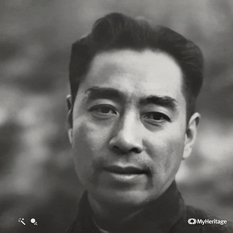 matteodamiani giphyupload GIF