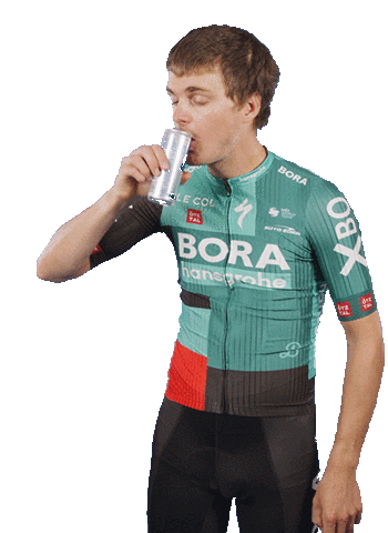 Red Bull Team Sticker by BORA-hansgrohe