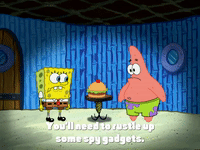 season 5 GIF by SpongeBob SquarePants