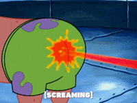 season 5 GIF by SpongeBob SquarePants