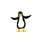 Bird Penguin Sticker