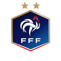 France Football Sticker by Pudgy Penguins