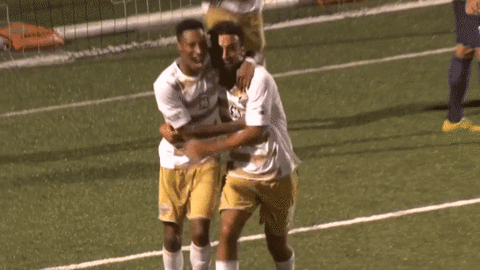 soccer goal GIF by Louisville City FC