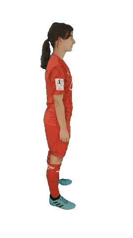 schanzerinnen giphyupload frauenfussball zeller nichtohnemeinemädels Sticker