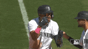 Lets Go Sport GIF by MLB