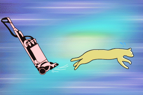 asudeasar giphyupload GIF