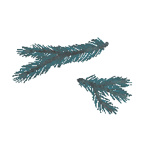 Winter Plant Sticker