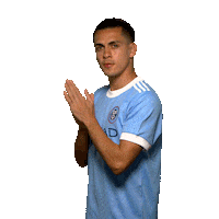 New York City Fc Reaction Sticker by NYCFC