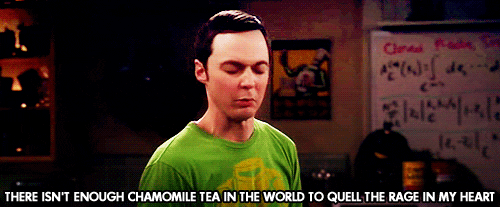 big bang theory sheldon GIF