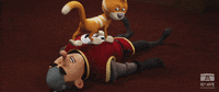 Take That Cat GIF by 10e Ave Productions