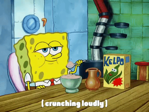 season 4 bummer vacation GIF by SpongeBob SquarePants