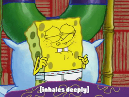 season 7 episode 10 GIF by SpongeBob SquarePants