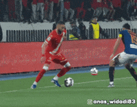 Club Morocco GIF