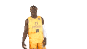 Liga Endesa Basketball Sticker by ACB