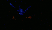 Sign Of The Times Prince GIF by Coolidge Corner Theatre