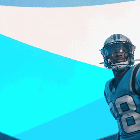 GIF by Carolina Panthers