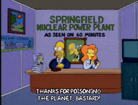 homer simpson GIF