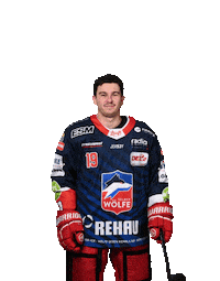 Ice Hockey Love Sticker by Selber Wölfe