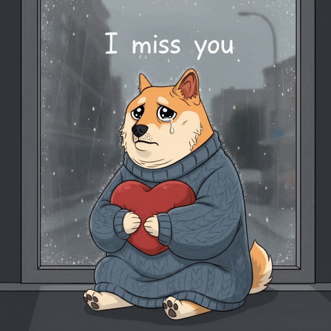 Sad I Miss You GIF by Doge Pound