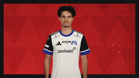 Hamburger Sv Hello GIF by Bundesliga