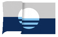 milwaukee admirals hockey Sticker by onmilwaukee
