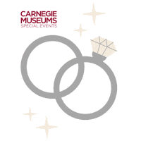 Diamond Rings Wedding Sticker by Carnegie Museums Special Events