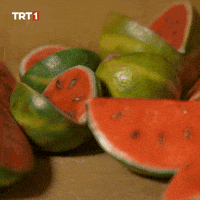Summer Eat GIF by TRT