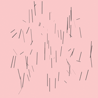 GIF by Borrachas