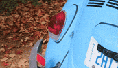 Blue Car Bug GIF