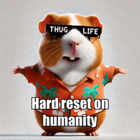 Unity Sun GIF by Guinea Gambino