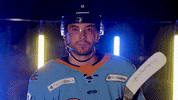 Hockey Echl GIF by Toledo Walleye