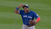 Celebrate Blue Jays GIF by Toronto Blue Jays