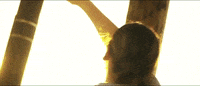 19 GIF by Landon Cube