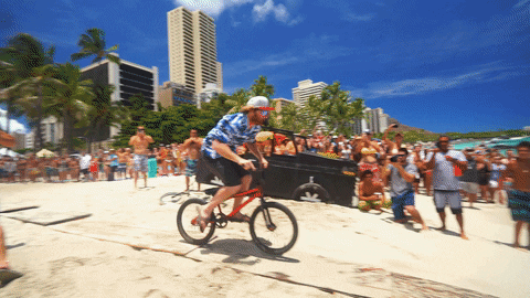 summer vibes GIF by Red Bull