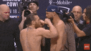 GIF by UFC