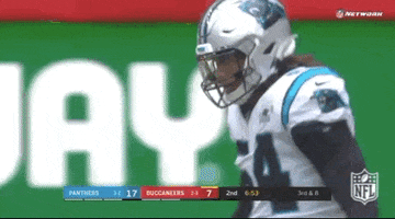 Carolina Panthers Football GIF by NFL