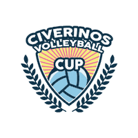 Volleyball Sticker by Civerinos
