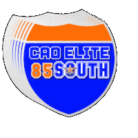 Sticker by CAO Elite