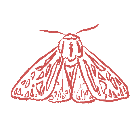 lunamothlife giphyupload moth moths luna moth Sticker