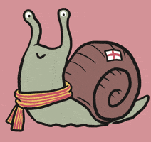 Snail Caracol GIF